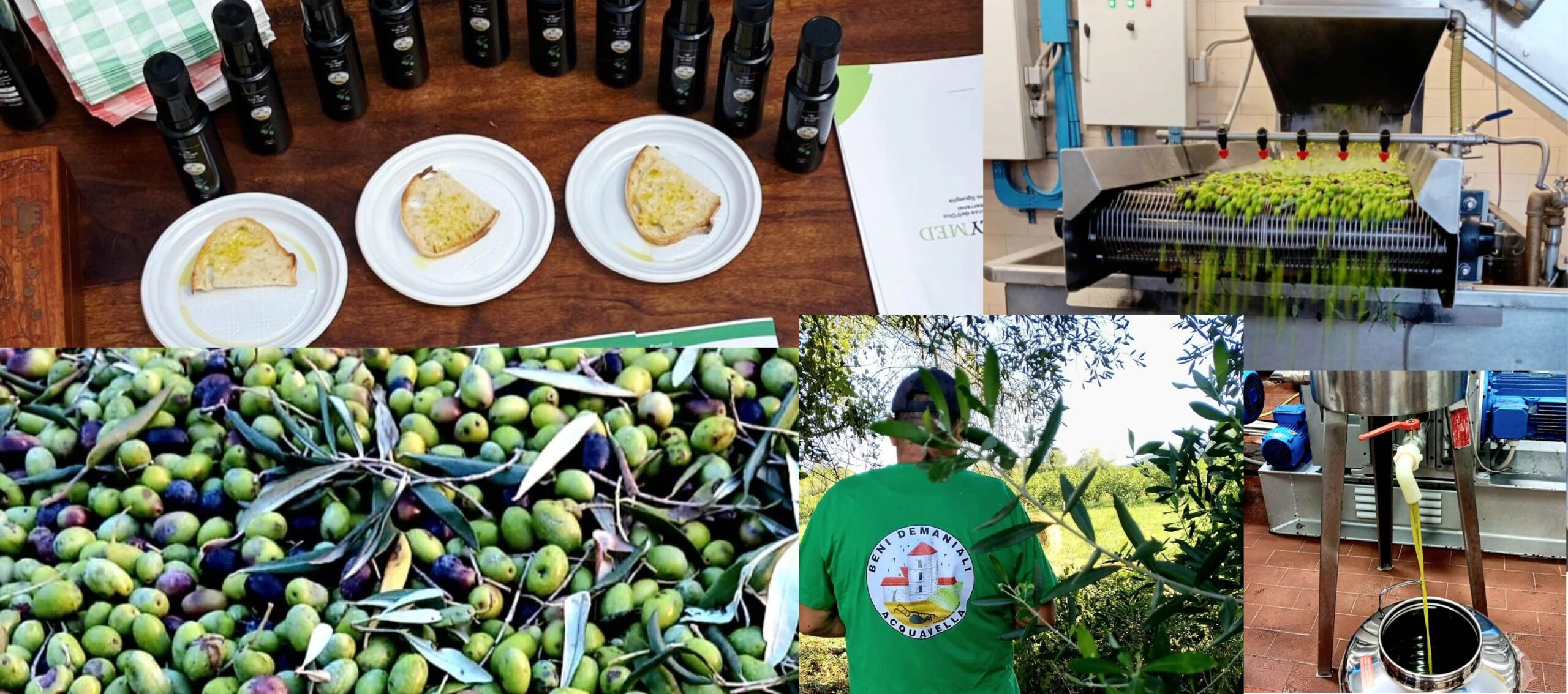 Olio extravergine d'oliva - Beni Demaniali Acquavella